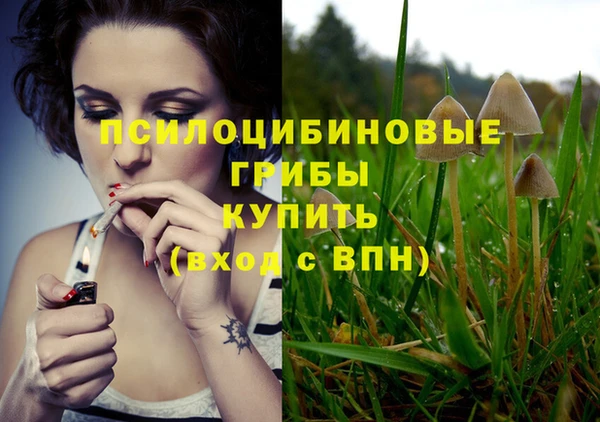 винт Михайловск
